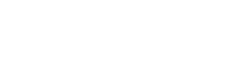 Lyon_Financial_Logo